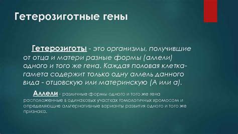 Что такое гетерозиготные и гомозиготные особи