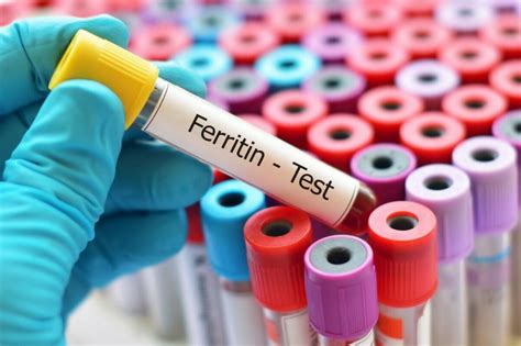Что такое гормон ферритин?