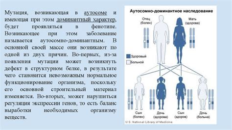 Что такое доминантный геном?