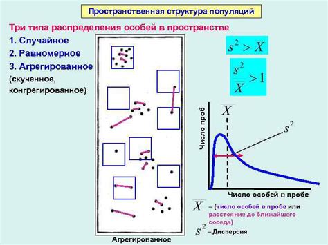 Что такое идеальная популяция?