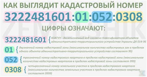 Что такое кадастровый номер земельного участка?