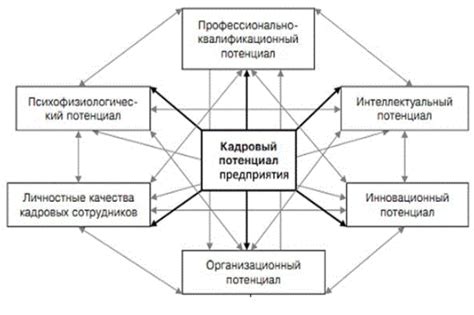 Что такое кадровый потенциал и каково его значение для организации?