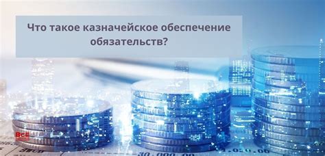 Что такое казначейское обеспечение обязательств?