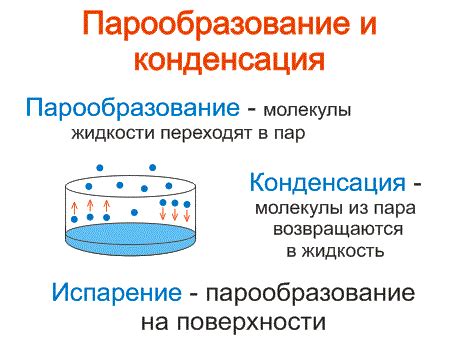 Что такое конденсация ДНК и как происходит этот процесс