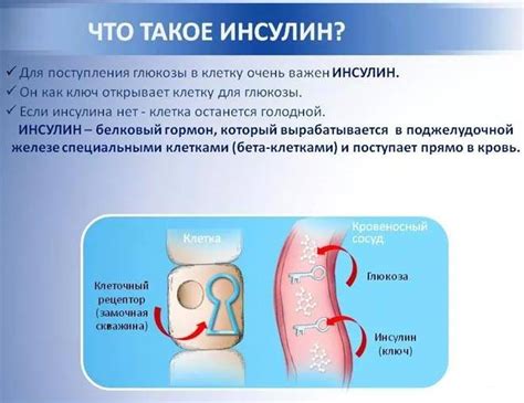 Что такое короткий инсулин и зачем он нужен