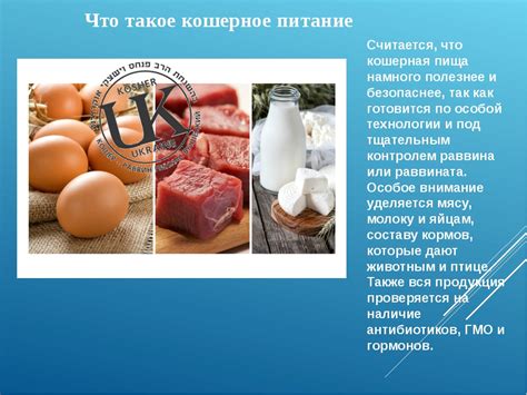 Что такое кошерные продукты и почему они важны?