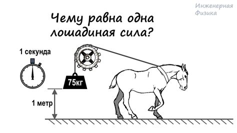 Что такое лошадиная доза?