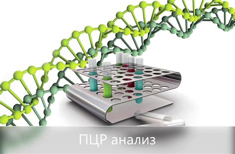 Что такое мульти-ПЦР?