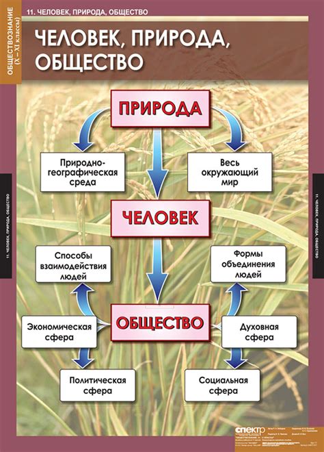 Что такое назначение пособия?