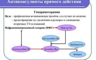 Что такое начальная реканализация тромба?