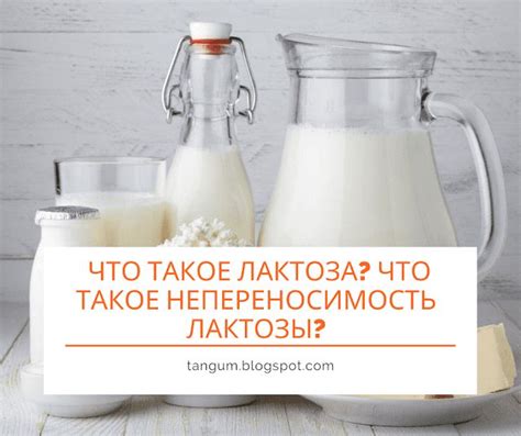 Что такое непереносимость лактозы?