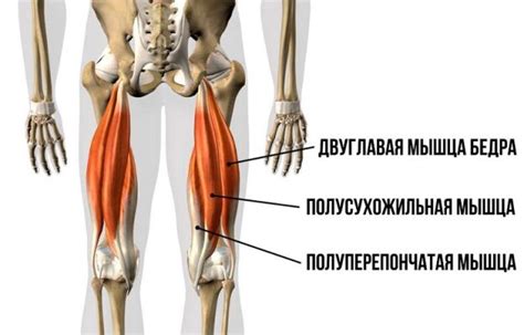 Что такое неустойчивость бедра