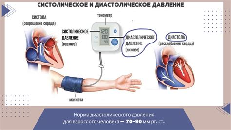 Что такое нижнее или диастолическое давление?