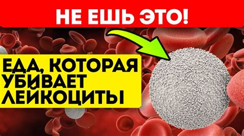 Что такое низкое содержание лейкоцитов и его последствия?