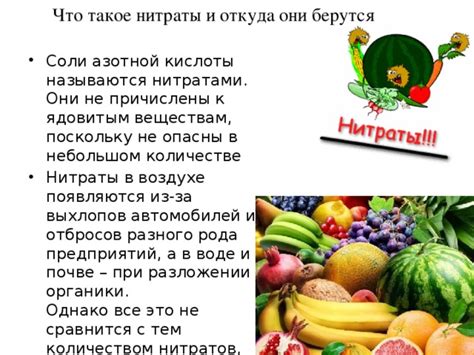 Что такое нитраты и где они содержатся?