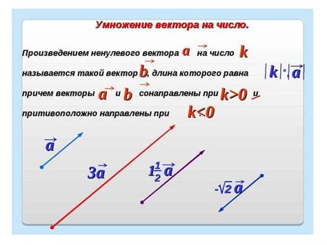 Что такое нормализованный вектор