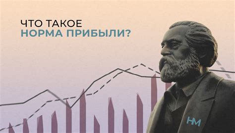 Что такое норма прибыли