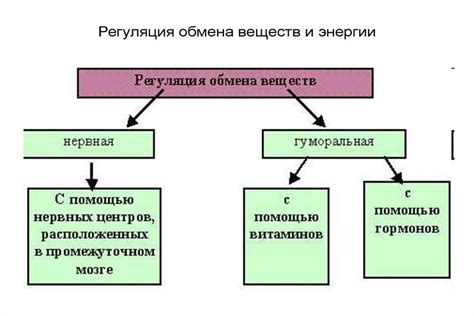 Что такое обмен со сборами Аэрофлот?