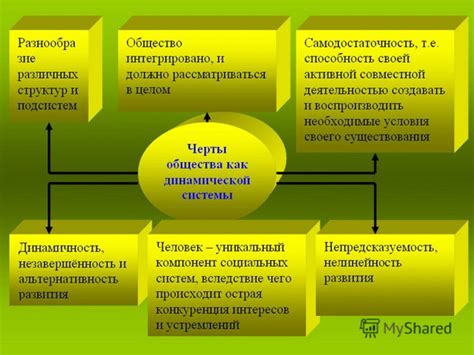 Что такое общество саморазвивающаяся система: очерк и основные принципы