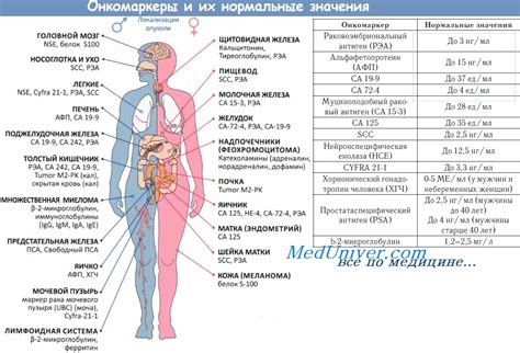 Что такое онкомаркер и как проводится его исследование?