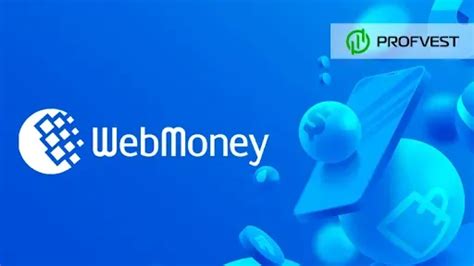 Что такое оплата WebMoney - функциональность и особенности