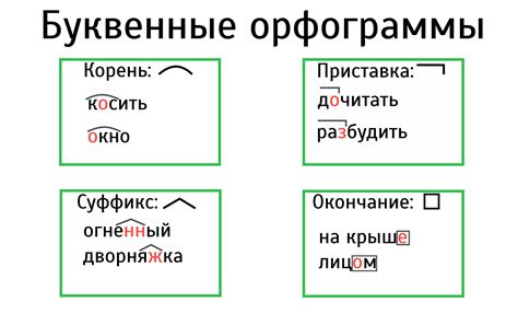 Что такое орфограмма буква согласных