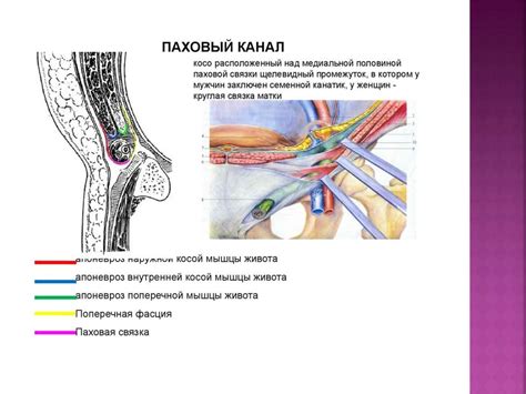 Что такое открытый канал у человека?