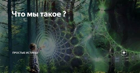 Что такое относительность истины?