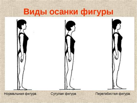 Что такое перегибистая фигура: основные концепции и примеры