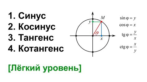 Что такое передние синусы?