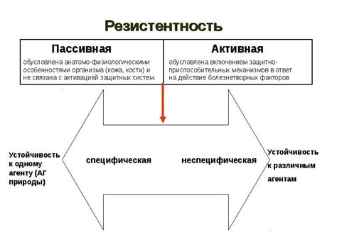 Что такое перекрестная резистентность?