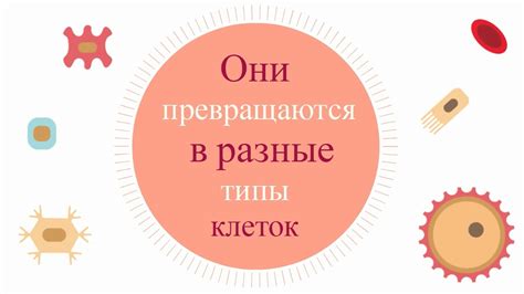 Что такое перинатальные инфекции и как они влияют на развитие ребёнка