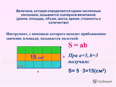 Что такое площадь занятая парами?