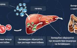 Что такое повышение уровня билирубина?