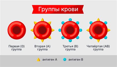 Что такое подгруппа крови