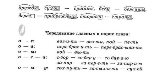 Что такое позиционная чередование звуков?