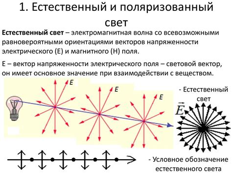 Что такое поляризованный выключатель?