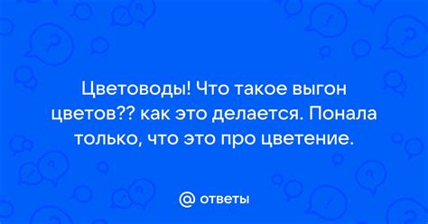 Что такое помацать и как это делается