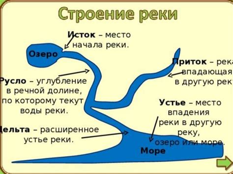 Что такое приток реки и какова его функция?