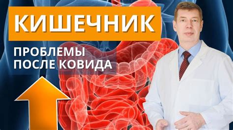 Что такое проблемы с кишечником: симптомы, причины и лечение