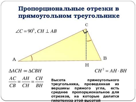 Что такое пропорциональное увеличение?