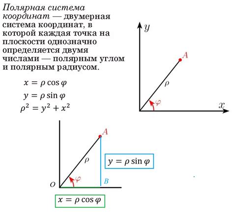 Что такое пропорциональные координаты и как их определить?