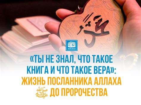 Что такое пышная жизнь?