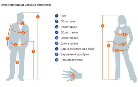 Что такое размер евро для одежды?