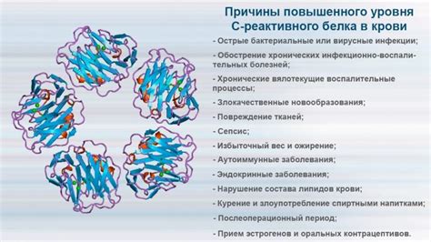 Что такое реактивный белок 125?