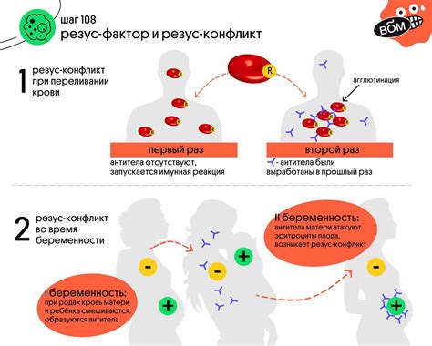 Что такое резус фактор конфликт?