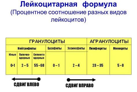 Что такое сегментоядерные нормы?