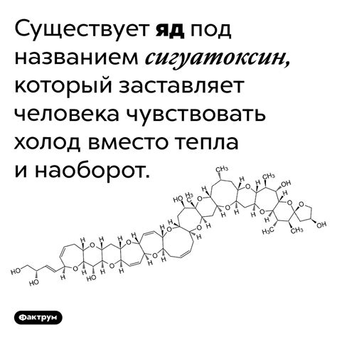 Что такое сигуатоксин?