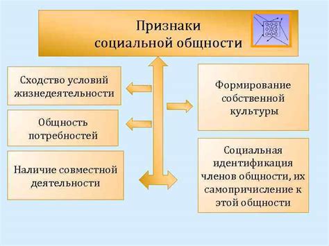 Что такое система обществознания в 10 классе и зачем нужно знать?