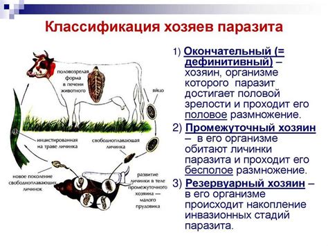 Что такое сложная паразитарная система?